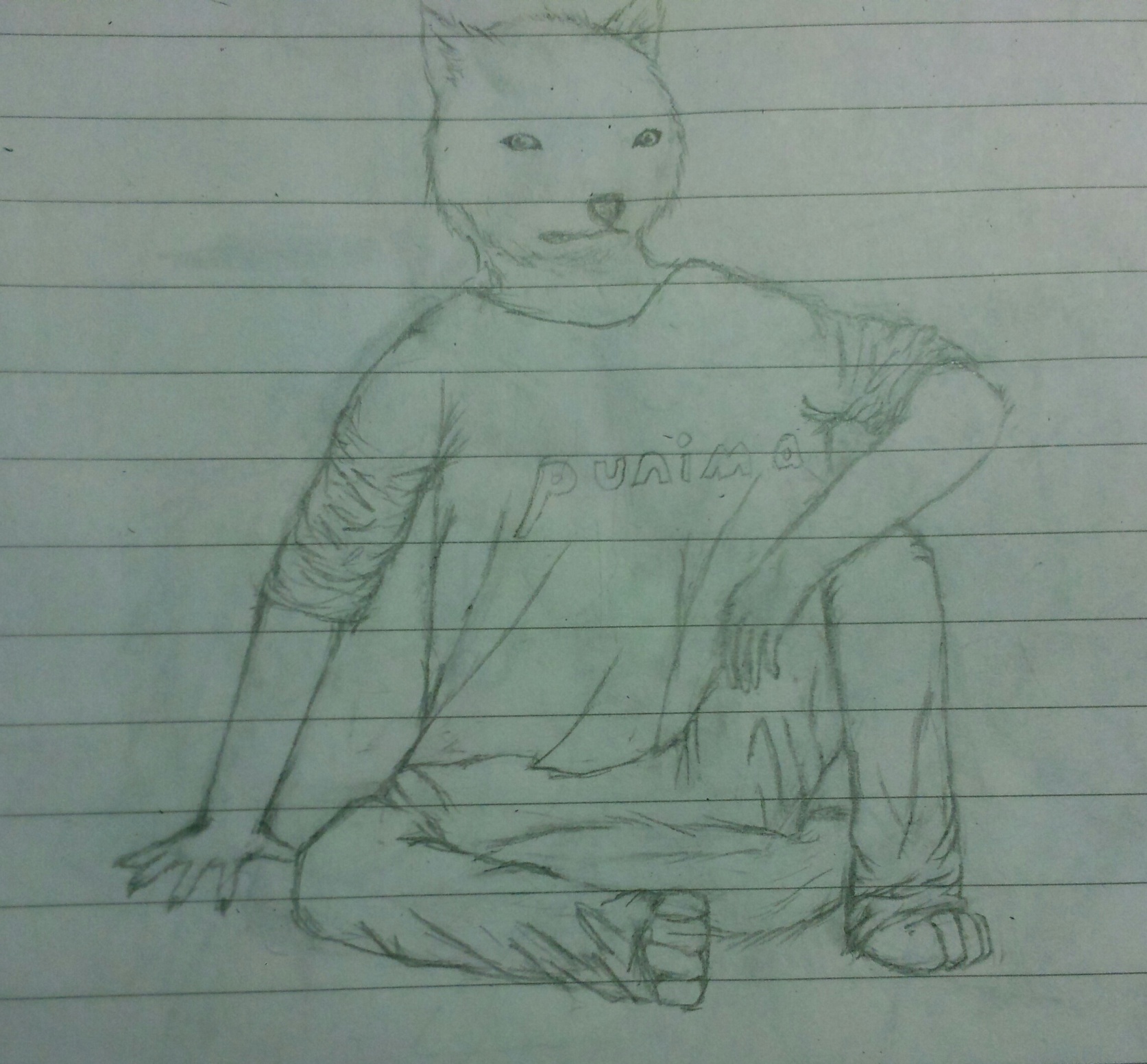sitting