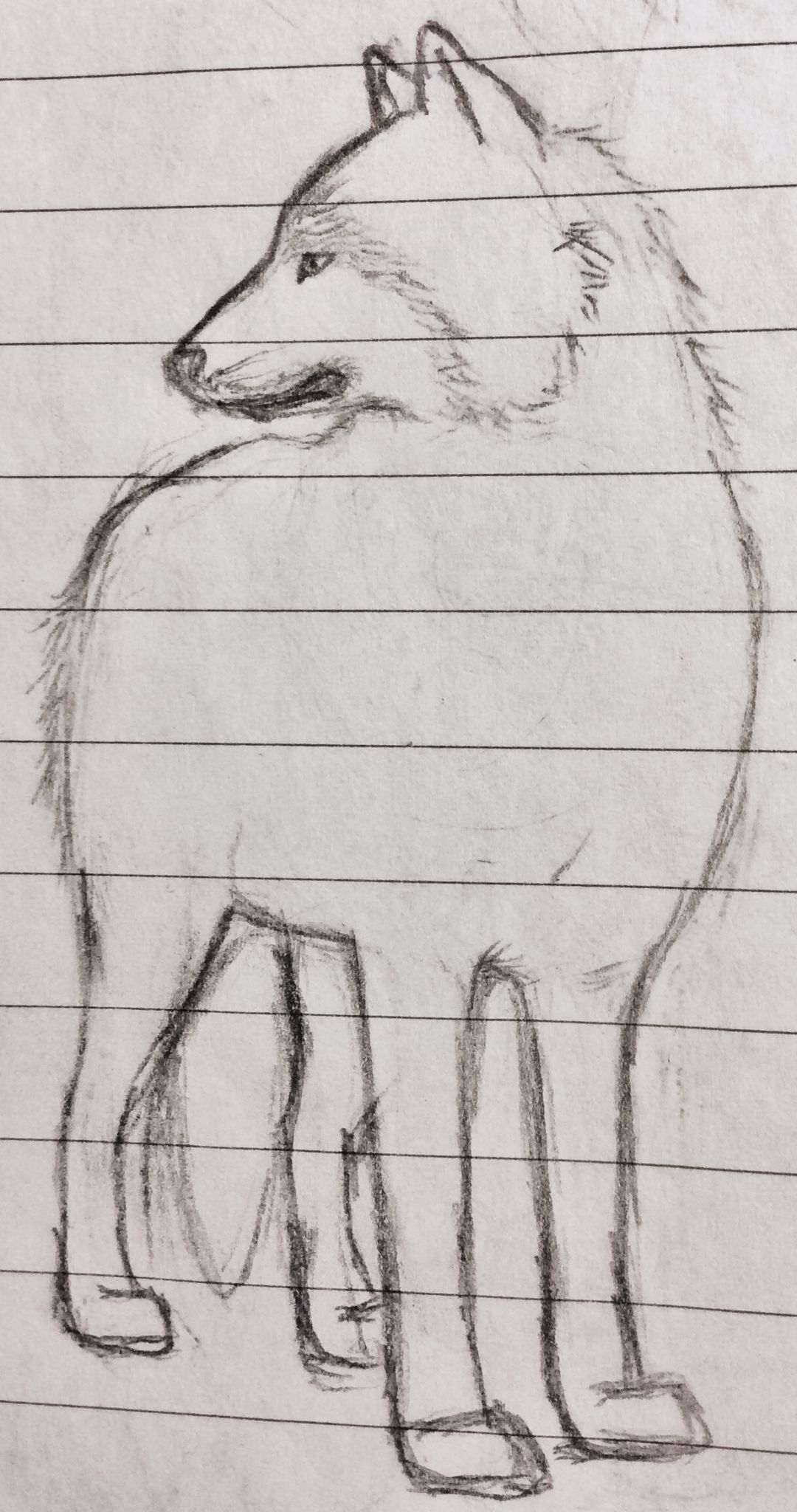 20140302163606264