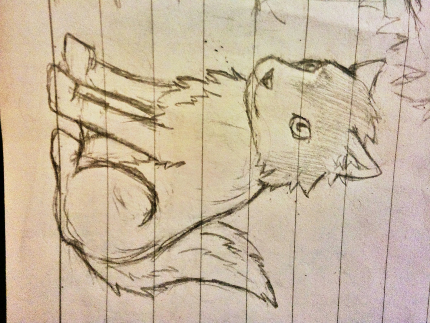 Q wolf sit