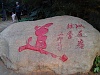 IMG 20141004 171253
