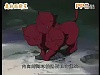 按圖片以瀏覽大圖

名稱:	image.jpg
瀏覽次數:	90
文件大小:	273.8 KB
ID:	36955