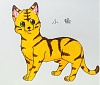 按圖片以瀏覽大圖

名稱:	ˋ11798398_872390542853930_1956182638_n.jpg
瀏覽次數:	98
文件大小:	62.7 KB
ID:	38126