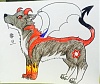 按圖片以瀏覽大圖

名稱:	11780497_872390546187263_1635487026_n.jpg
瀏覽次數:	128
文件大小:	92.4 KB
ID:	38128