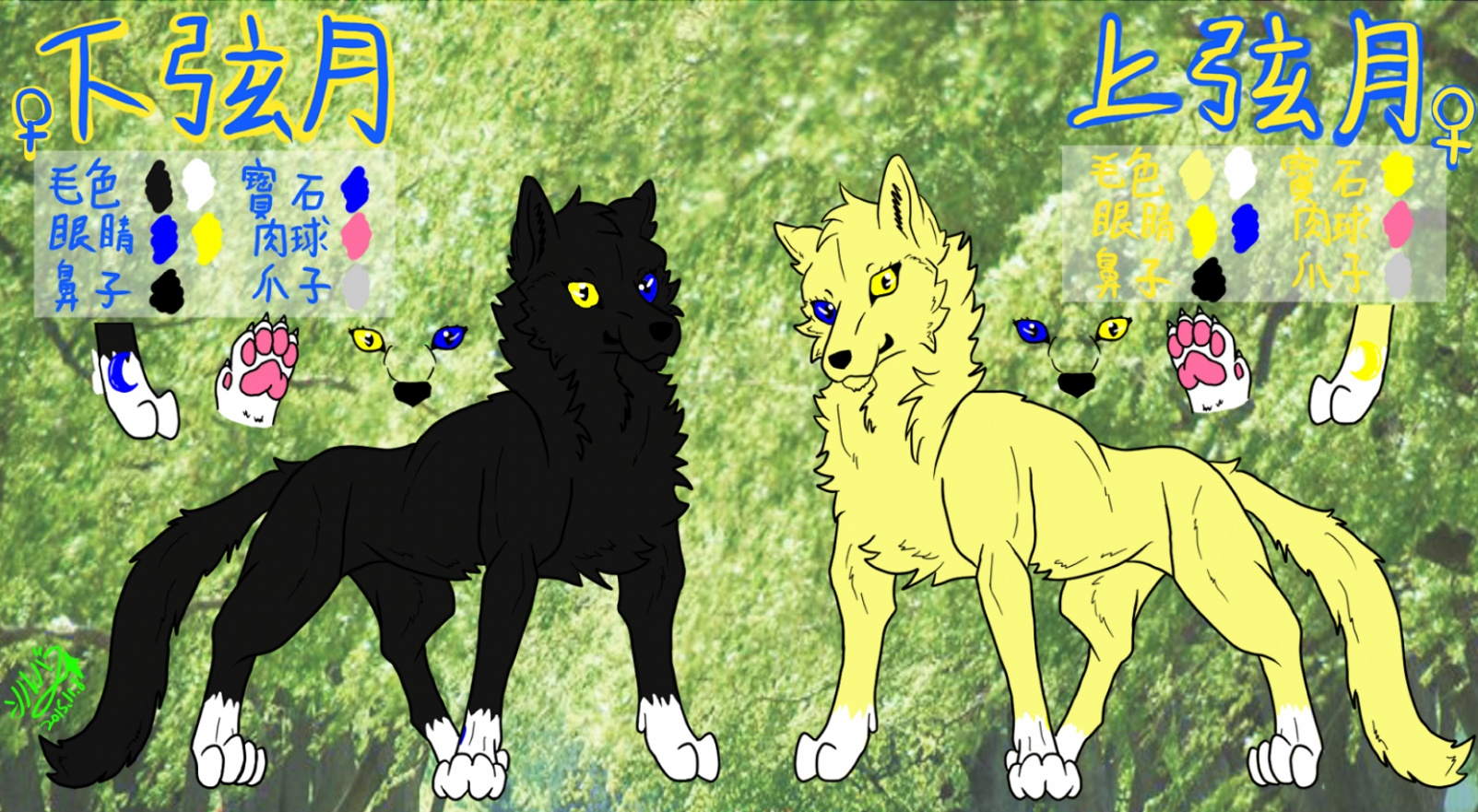上下弦月獸設贈圖，感謝銀星