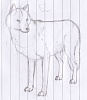 按圖片以瀏覽大圖
名稱: wolf.jpg
瀏覽次數: 8630
文件大小: 560.1 KB
ID: 38686
