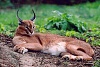 按圖片以瀏覽大圖
名稱:	420_e3eadf7d5e613b5bcba6ff5a87bfd639.jpg
瀏覽次數:	4246
文件大小:	28.5 KB
ID:	36654